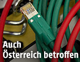 Netzwerkkabel