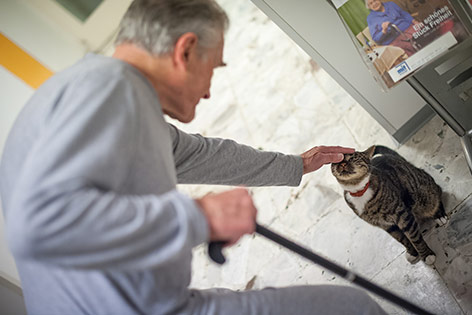© ORF.at/Zita Köver Mann streichelt Katze in einem Pflegeheim