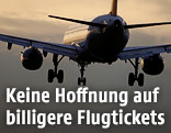 Flugzeug im Landeanflug