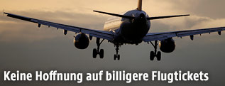 Flugzeug im Landeanflug
