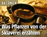Ausgestellte Sklavenkette