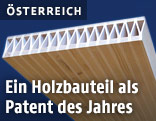 Hochleistungsleichtbauelement aus Holz