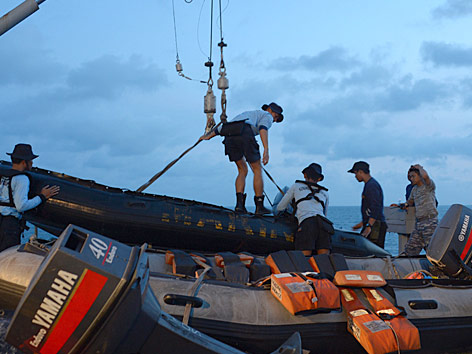 © APA/EPA/Adek Berry indonesische Navy-Taucher bei der Suche nach den Opfern des AirAsia-Absturzes