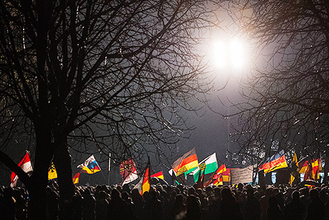 Demonstranten mit Fahnen in Dresden