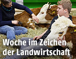 Besucher streicheln auf der Gr&uuml;nen Woche in Berlin Rinder