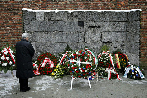 © APA/Bundesheer/Peter Lechner Bundespräsident Heinz Fischer bei Gedenkfeier in Auschwitz