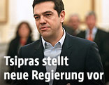 Der griechische Premierminister Alexis Tsipras