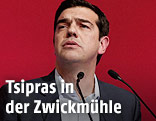 Alexis Tsipras (SYRIZA)