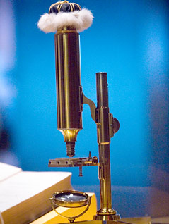 © AP/Matt Rourke Das Mikroskop von Gregor Mendel