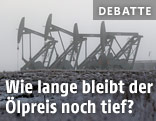 Ölförderanalage