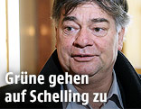 Werner Kogler, Grüne