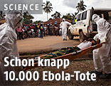 Hilfskräfte tragen einen Ebola-Toten zu einem Auto