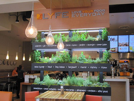 LYFE Kitchen Filiale