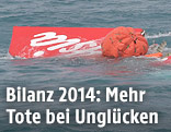 Heckflosse im Meer