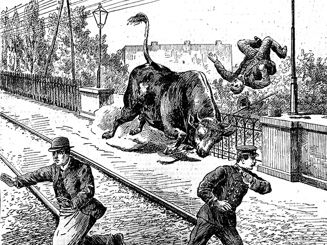 © Metroverlag Illustrationen aus dem Buch "Spektakuläre Unglücksfälle aus dem alten Wien"