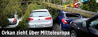 Besch&auml;digtes Auto unter einem Baum