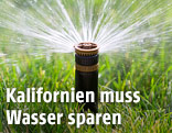 Rasensprenger sprüht Wasser