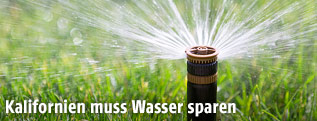 Rasensprenger sprüht Wasser