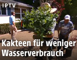 Frau trägt einen Kaktus