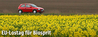 Rotes Auto neben Rapsfeld