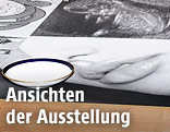Ausschnitt eines Kunstwerks der Ausstellung "Destination Wien" in der Kunsthalle