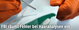 Ein Haar wird von einem Hemd entnommen
