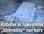 Aufnahme aus Fukushima-Reaktor