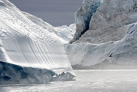 © APA/dpa/Ulrich Scharlack Eisberge in der Arktis