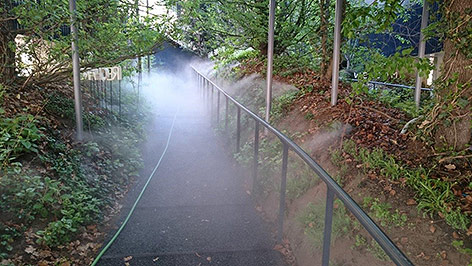 © Transsolar/Raintime Expo Austria zeigt einen Weg in einem Waldstück