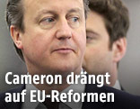 Der britische Premierminister David Cameron