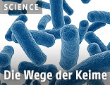 Rendering von Keimen