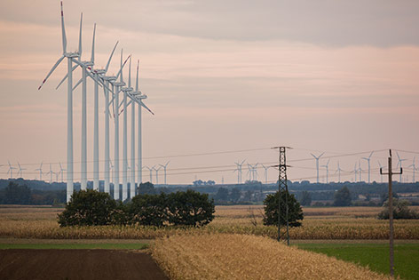 © ORF.at/Roland Winkler WIndpark im Burgenland