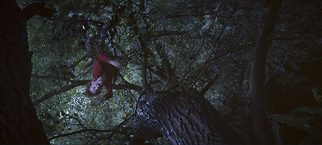© Centfox Szene im Film "Poltergeist"