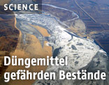 Verschmutzer Fluss in China