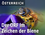 Biene auf einer Blüte