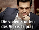 Der griechische Premierminister Alexis Tsipras