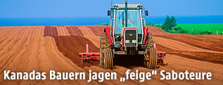 Traktor auf einem Erdäpfelfeld der Prince Edward Island