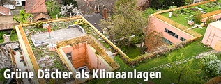 Begr&uuml;ntes Dach in der Wiener Sargfabrik