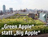 Gem&uuml;segarten auf einem Dach in New York