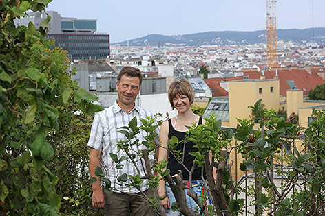 © ORF.at/David Tiefenthaler Gerold Steinbauer und Vera Enzi auf ihrer begrünten Dachterrasse