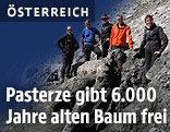 Großglockner Pasterze gibt alten Baumstamm frei