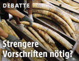 Elfenbein