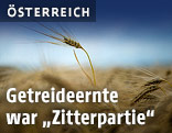 Gerstenfeld