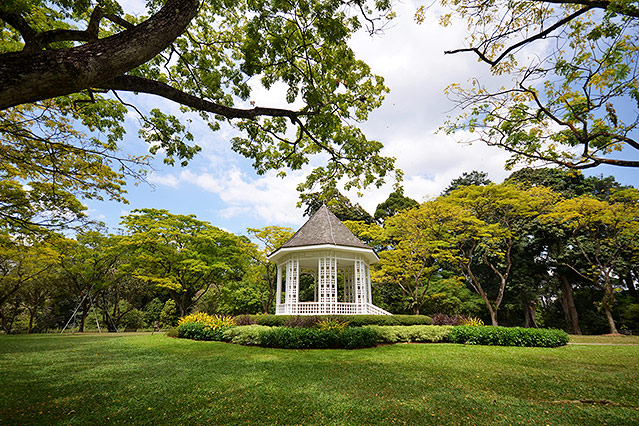 © Fotolia/tang90246 Botanischer Garten in Singapur