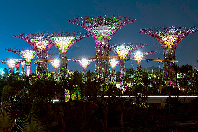 © Reuters/Tim Chong Beleuchtete Riesenbaumskulpuren in den Gardens by the Bay in Singapur