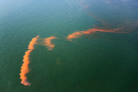 © APA/EPA/Polce Helicopter/Depolitieheli Rot glühende Algen im Meer