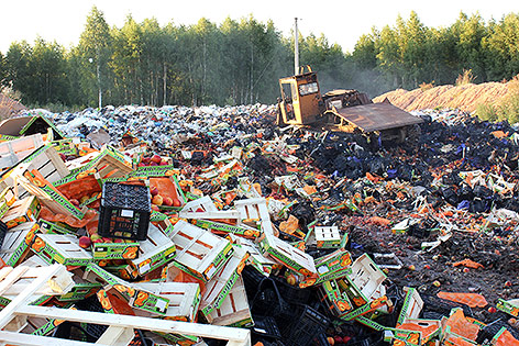 © APA/EPA/Rosselkhoznadzor Bryansk & Smolensk Department Bagger entsorgt Lebensmittel