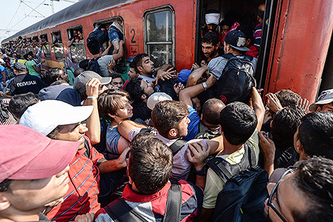© APA/EPA/Georgi Licovski Flüchtlinge drängen auf einen überfüllten Zug in Mazedonien
