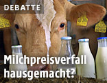 Milchkuh steht vor Milchflaschen
