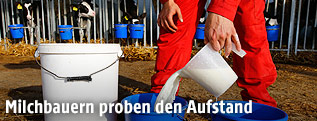 K&uuml;he im Stall